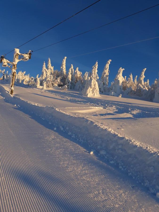 Chata Stred Kubínska hoľa Dolny Kubin Exterior foto