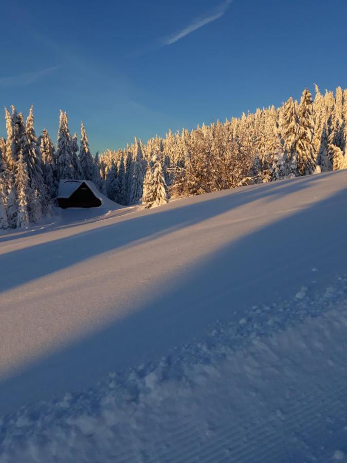 Chata Stred Kubínska hoľa Dolny Kubin Exterior foto